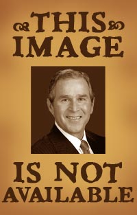 YOU\'RE NAILIN\' PALIN